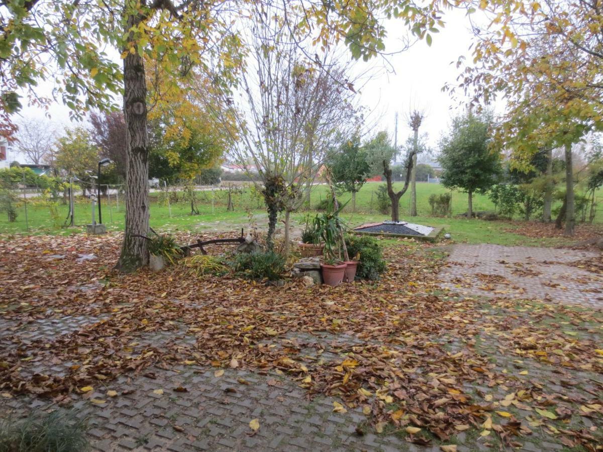 נוברטה די פיאבה Appartamento Casa Della Nonna מראה חיצוני תמונה
